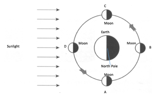 Seasons/Moon Phases