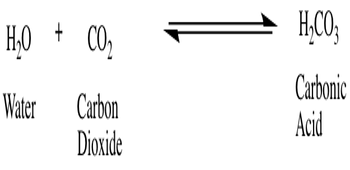 Formula co. Carbonic acid. Formula co2+h2o. Nitrogen-containing Carbonic acid Creative. Acid credits Dynamics