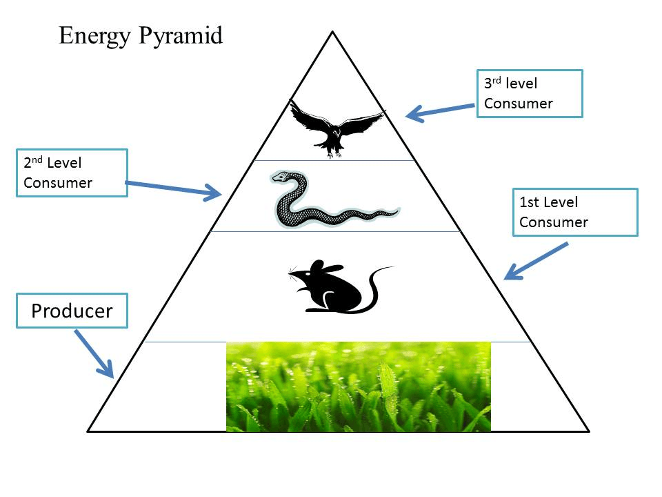 Energy Pyramid.