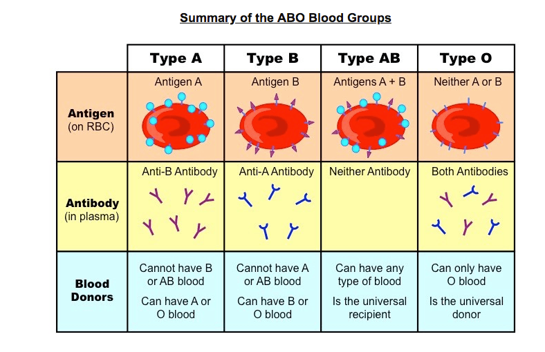 b negative blood type japan