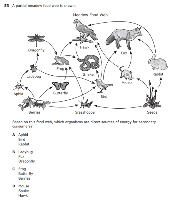 Food Webs and Succession Jeopardy Template