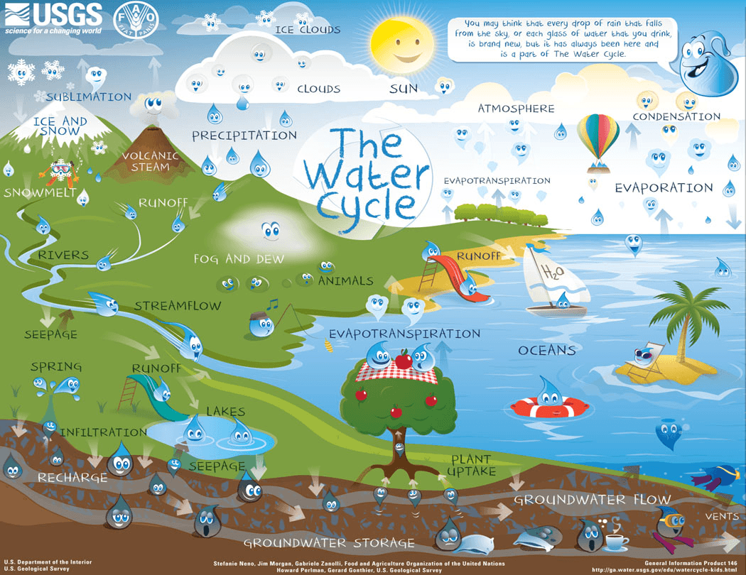 Matter Cycles In An Ecosystem