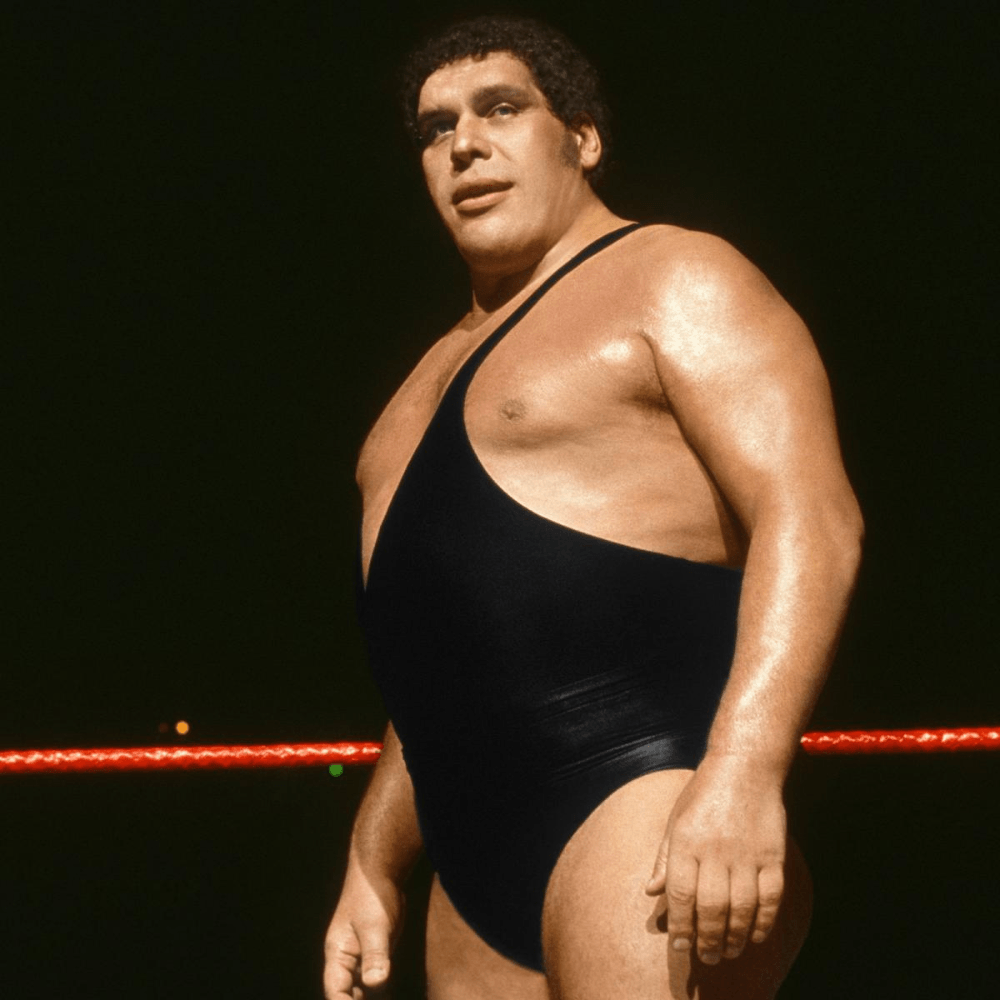 300. Andre the Giant. 