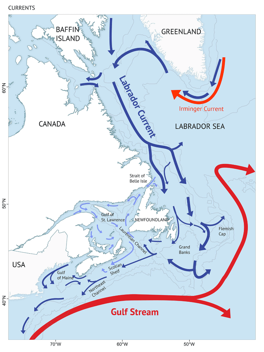 Течения лабрадор и Гольфстрим