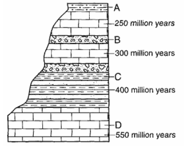 diagram of undisturbed strata youngest rock diagram of undisturbed strata youngest rock