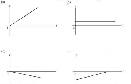 Unit I: I Like to Motion, Motion