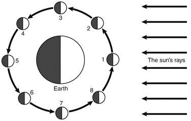 Moon Phases and Eclipses Jeopardy Template