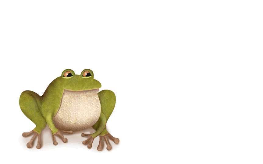гифка жабы. лягушка живая. гифка жабы. жаба анимация. лягушонок кермит танцует.