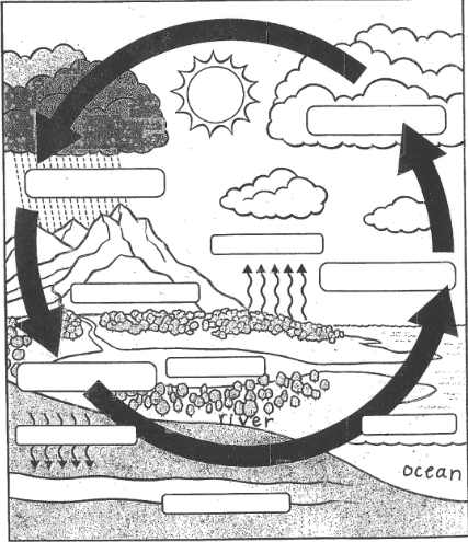 Interactions Within Ecosystems Unit Review Jeopardy Template