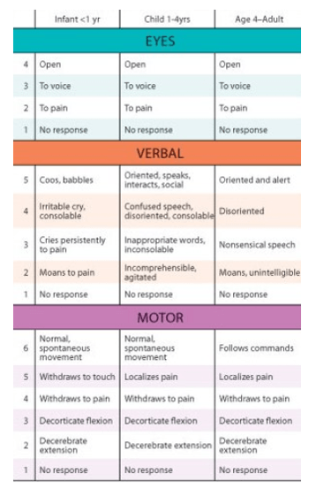 Pediatric Trauma Jeopardy Template