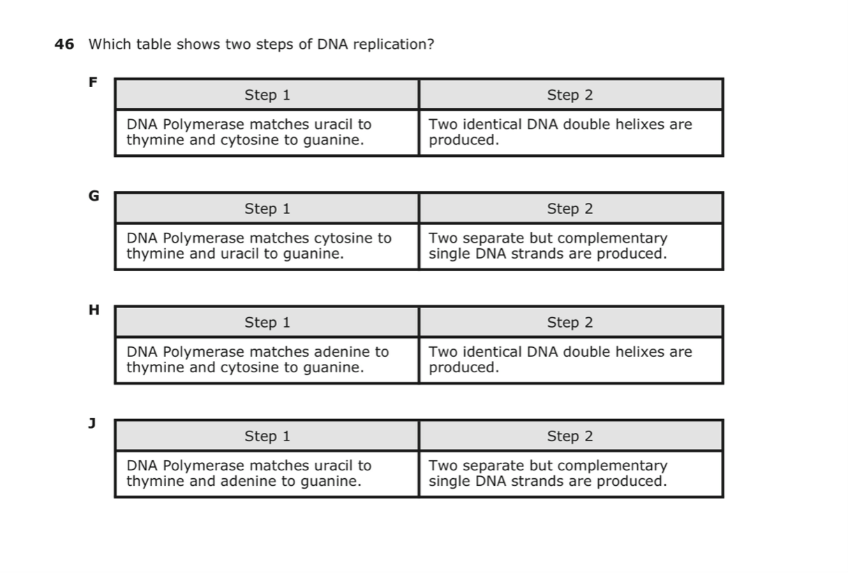 nucleic-acids-and-protein-synthesis-jeopardy-template