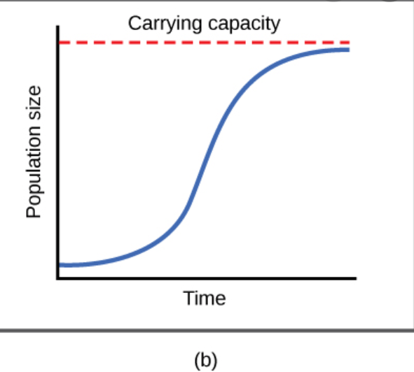 biology-eoc-camp-jeopardy-jeopardy-template