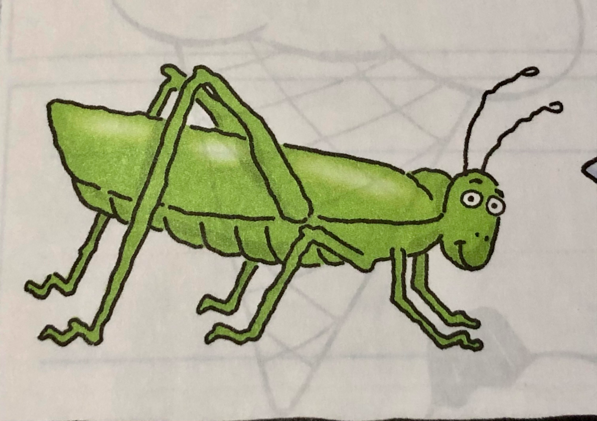 3rd Grade Spanish Jeopardy Jeopardy Template