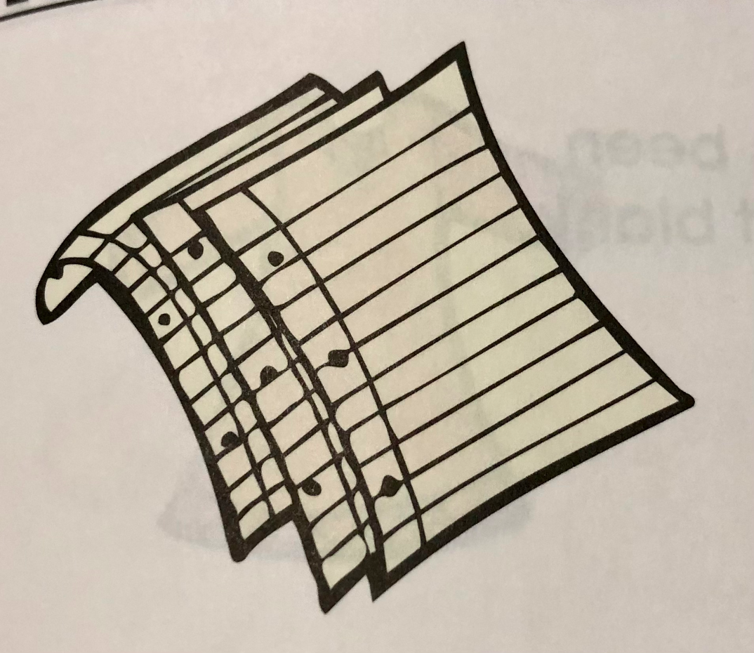 1st Grade Spanish Jeopardy Jeopardy Template