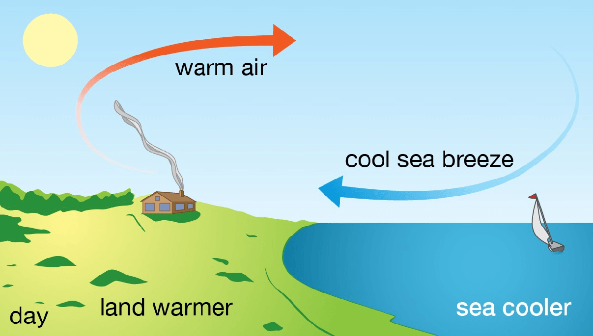 Проект sea breeze