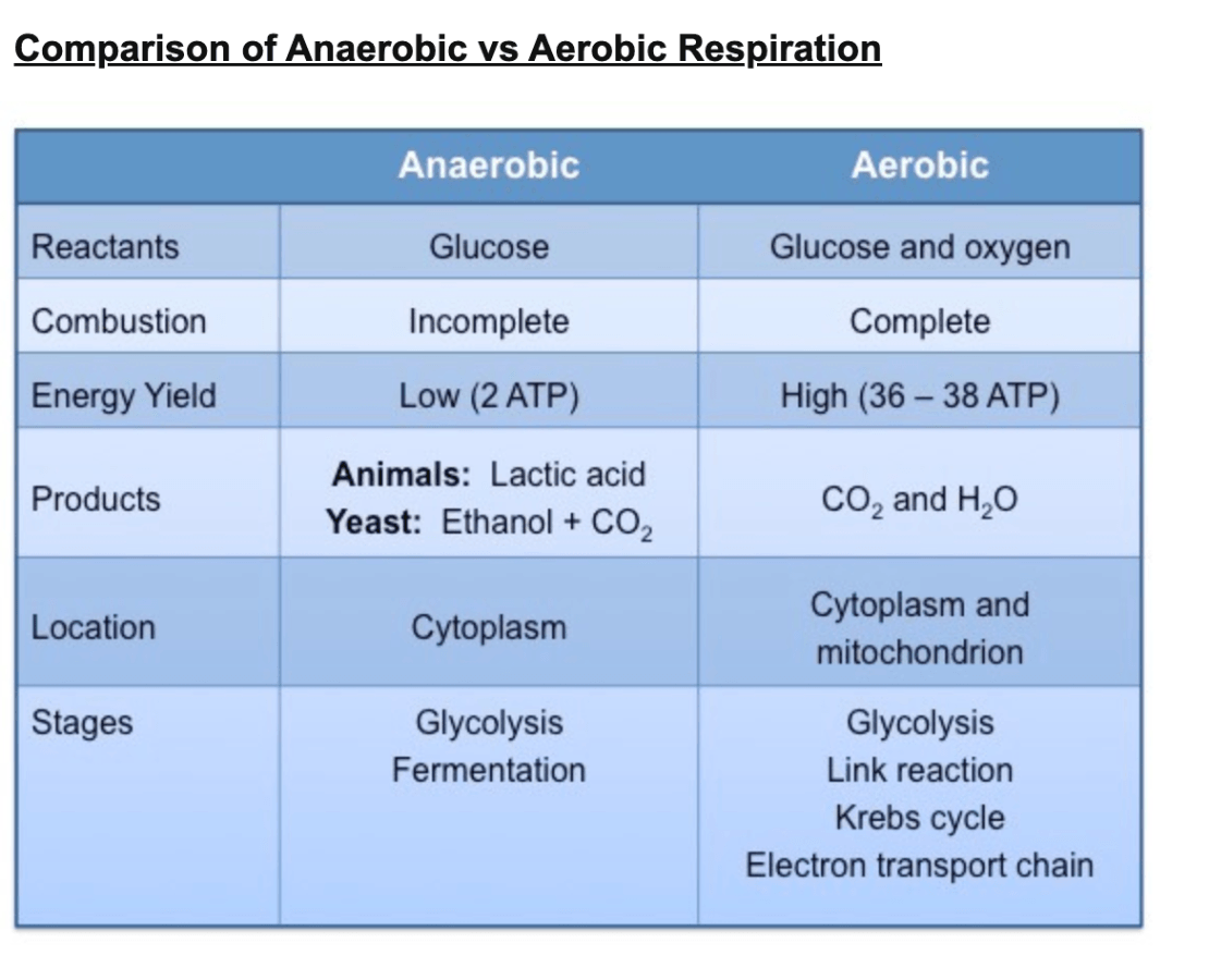 Difference перевод. Aerobic and anaerobic respiration. Aerobic vs anaerobic. Anaerobic respiration of microorganisms. There are Aerobic and anaerobic.