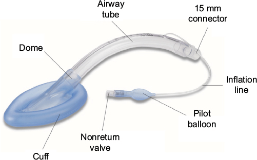 EMT Airway / Respiratory 2 (Cooper)