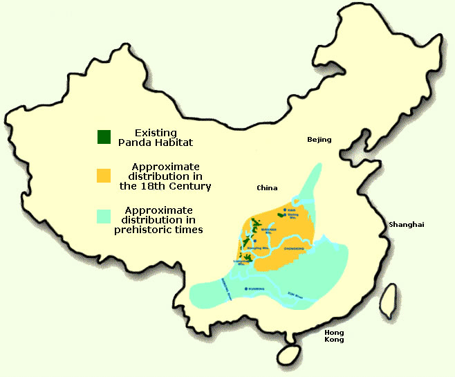 Панда ареал. Ареал панды. Большая Панда ареал. Панда на карте Китая. Панда с картами.