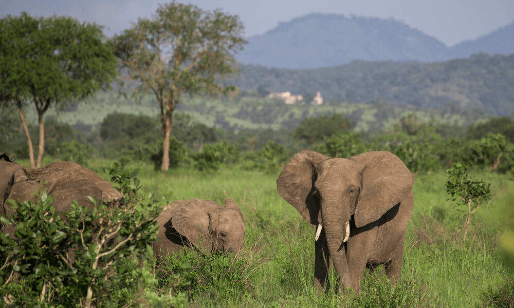 Unit 34 review Roadmap B1+ Jeopardy Template