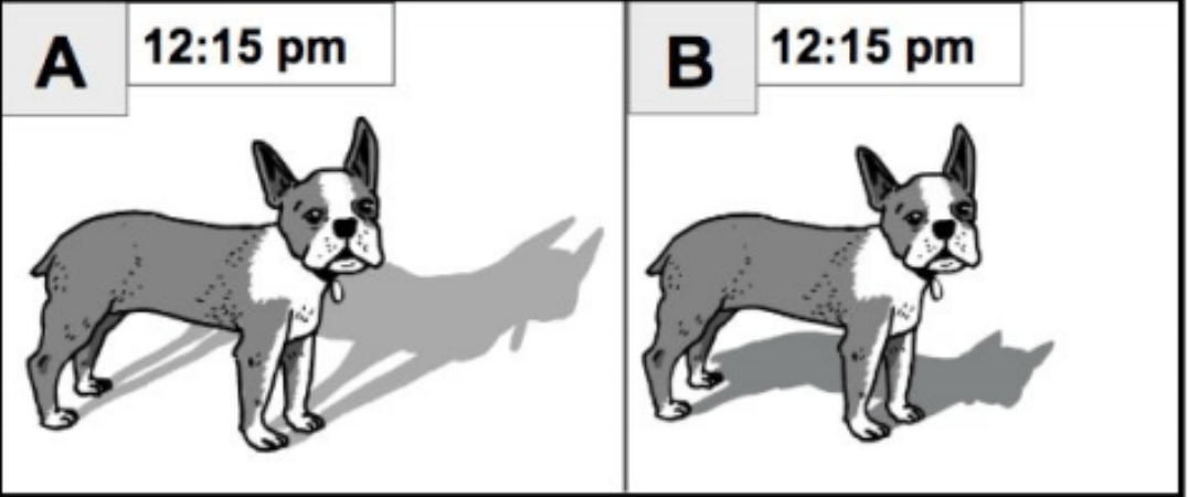 5th-grade-review-part-one-jeopardy-template