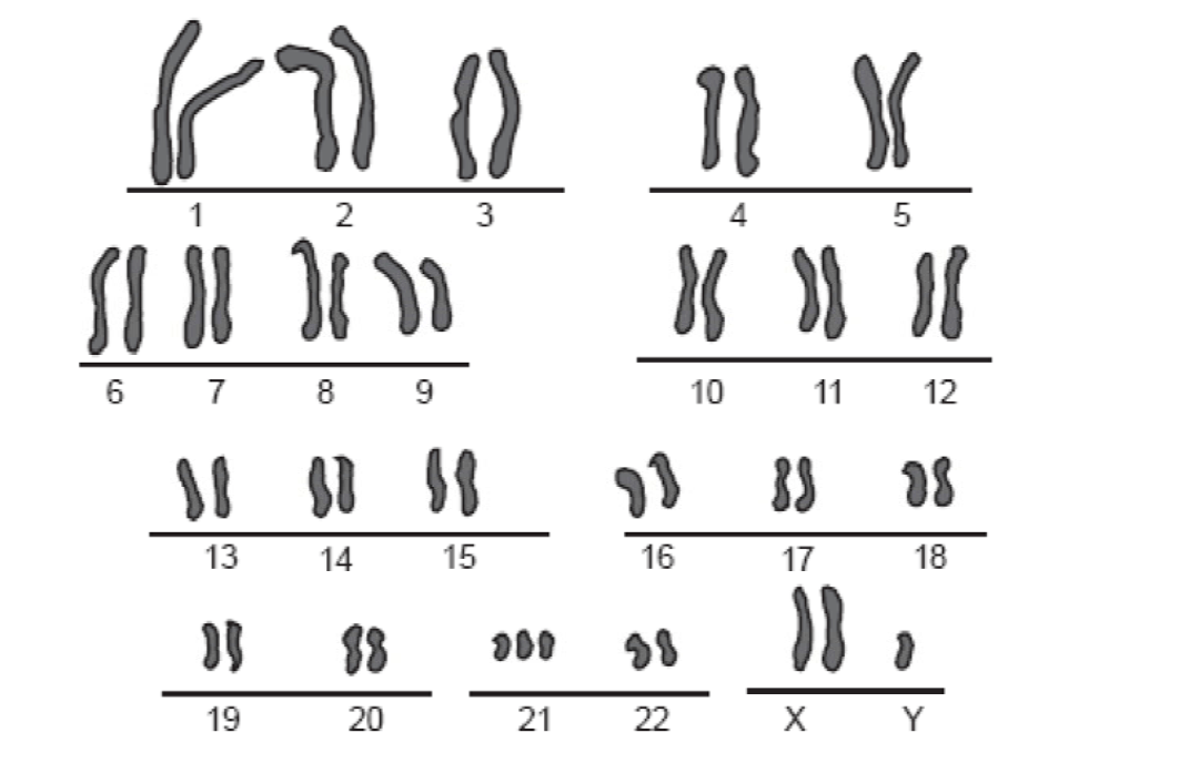 Unit Heredity Exam Review Jeopardy Template